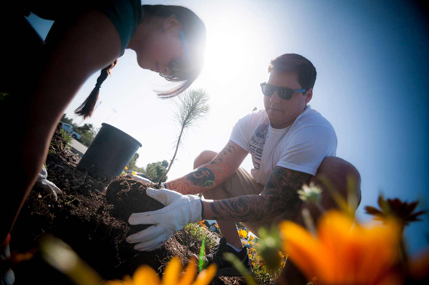 加州大学圣地亚哥分校的学生在植树