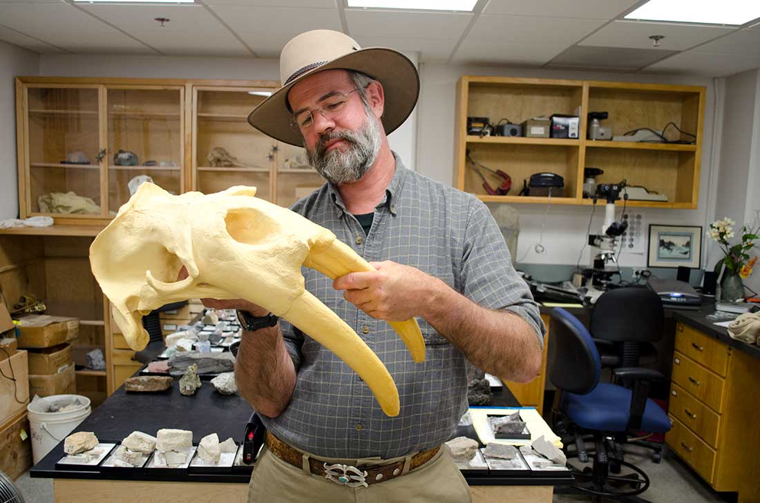 地质收藏馆馆长迪克·诺里斯和海象头骨的模型。